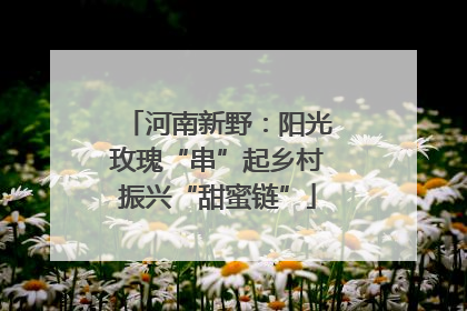河南新野：阳光玫瑰“串”起乡村振兴“甜蜜链”