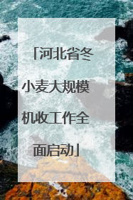 河北省冬小麦大规模机收工作全面启动