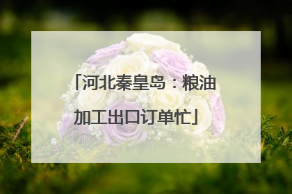 河北秦皇岛：粮油加工出口订单忙