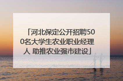 河北保定公开招聘500名大学生农业职业经理人 助推农业强市建设