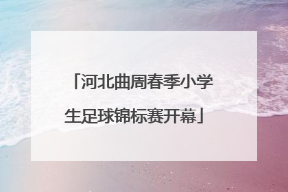 河北曲周春季小学生足球锦标赛开幕