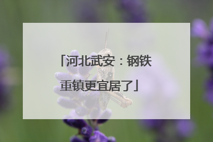 河北武安：钢铁重镇更宜居了