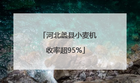河北蠡县小麦机收率超95%