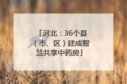 河北：36个县（市、区）建成智慧共享中药房