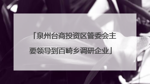 泉州台商投资区管委会主要领导到百崎乡调研企业