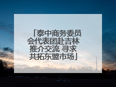 泰中商务委员会代表团赴吉林推介交流 寻求共拓东盟市场