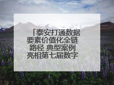 泰安打通数据要素价值化全链路径 典型案例亮相第七届数字中国建设峰会