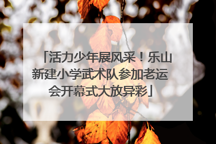 活力少年展风采！乐山新建小学武术队参加老运会开幕式大放异彩