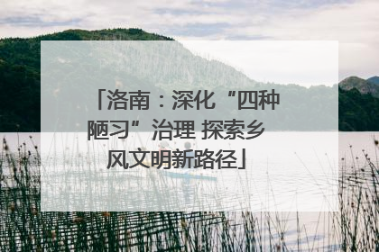 洛南：深化“四种陋习”治理 探索乡风文明新路径