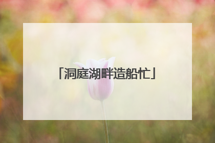 洞庭湖畔造船忙