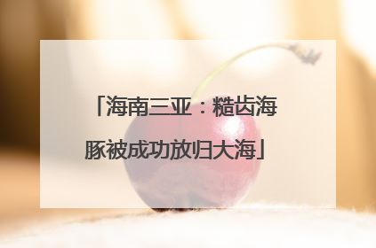 海南三亚：糙齿海豚被成功放归大海