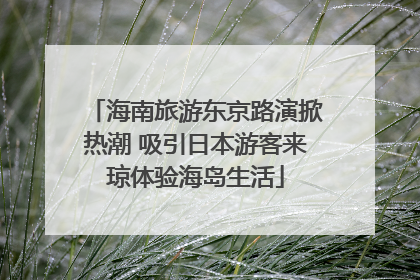 海南旅游东京路演掀热潮 吸引日本游客来琼体验海岛生活