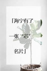 海宁有了一张“芯”名片