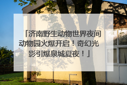 济南野生动物世界夜间动物园火爆开启！奇幻光影引爆泉城夏夜！