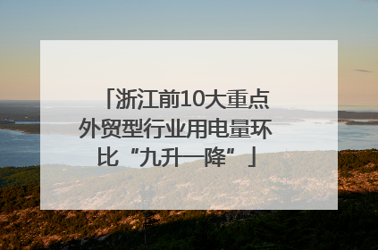 浙江前10大重点外贸型行业用电量环比“九升一降”