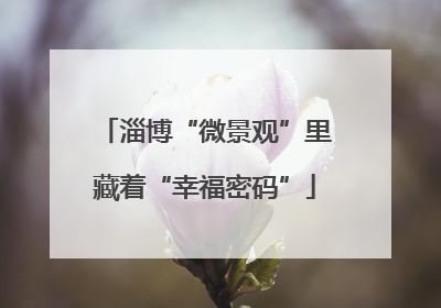 淄博“微景观”里藏着“幸福密码”