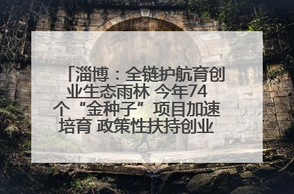 淄博：全链护航育创业生态雨林 今年74个“金种子”项目加速培育 政策性扶持创业9754人