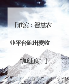 淮滨：智慧农业平台跑出麦收“加速度”