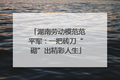 湖南劳动模范范平军：一把砖刀“砌”出精彩人生