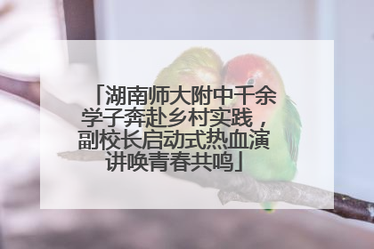 湖南师大附中千余学子奔赴乡村实践，副校长启动式热血演讲唤青春共鸣