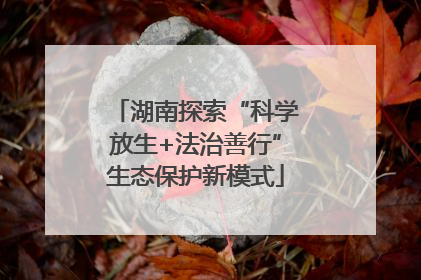 湖南探索“科学放生+法治善行”生态保护新模式