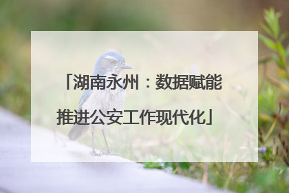 湖南永州：数据赋能推进公安工作现代化