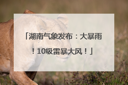 湖南气象发布：大暴雨！10级雷暴大风！