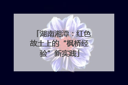 湖南湘潭：红色故土上的“枫桥经验”新实践