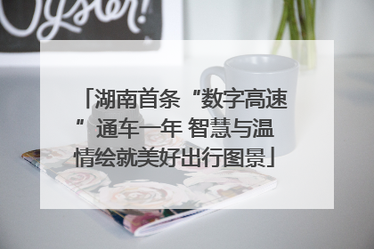 湖南首条“数字高速”通车一年 智慧与温情绘就美好出行图景