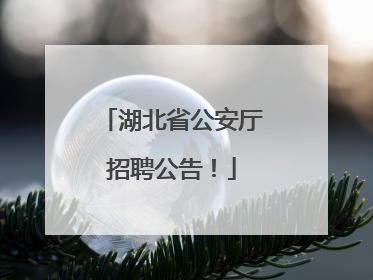 湖北省公安厅招聘公告！
