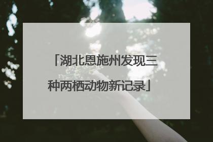 湖北恩施州发现三种两栖动物新记录