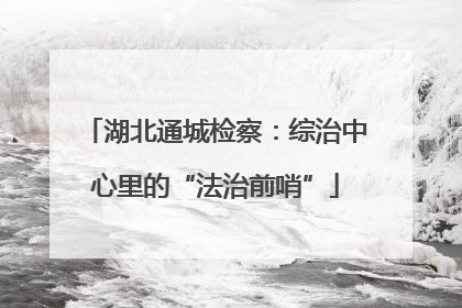 湖北通城检察：综治中心里的“法治前哨”
