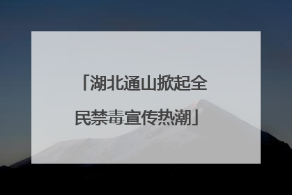 湖北通山掀起全民禁毒宣传热潮