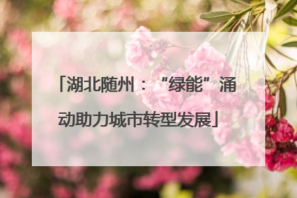 湖北随州：“绿能”涌动助力城市转型发展