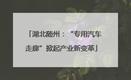 湖北随州：“专用汽车走廊”掀起产业新变革