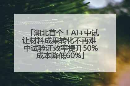 湖北首个！AI+中试让材料成果转化不再难 中试验证效率提升50%成本降低60%
