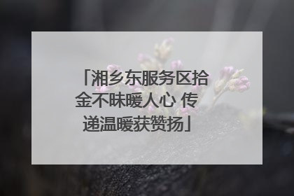湘乡东服务区拾金不昧暖人心 传递温暖获赞扬