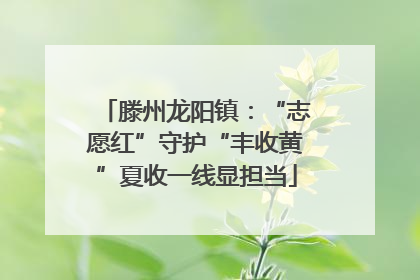 滕州龙阳镇：“志愿红”守护“丰收黄”夏收一线显担当