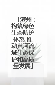 滨州：构筑绿色生态防护体系 推动黄河流域生态保护和高质量发展