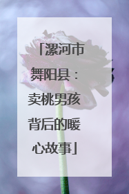 漯河市舞阳县：卖桃男孩背后的暖心故事