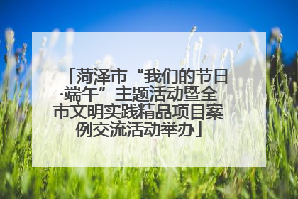 菏泽市“我们的节日·端午”主题活动暨全市文明实践精品项目案例交流活动举办