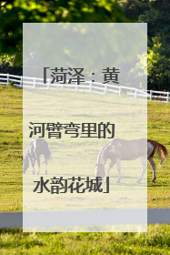 菏泽：黄河臂弯里的水韵花城