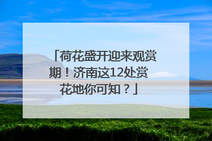 荷花盛开迎来观赏期！济南这12处赏花地你可知？