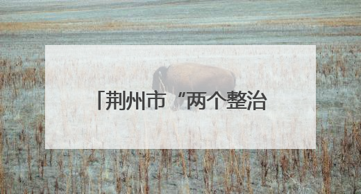 荆州市“两个整治”工作专班组织开展冷库专项整治行动