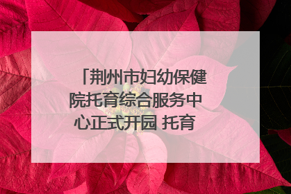 荆州市妇幼保健院托育综合服务中心正式开园 托育宣传月同步启动