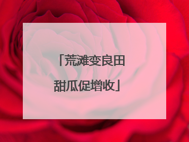 荒滩变良田 甜瓜促增收