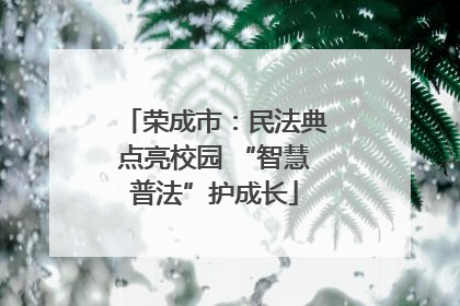 荣成市：民法典点亮校园 “智慧普法”护成长