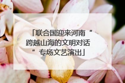 联合国迎来河南“跨越山海的文明对话”专场文艺演出