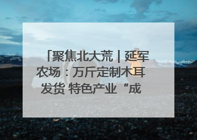 聚焦北大荒｜延军农场：万斤定制木耳发货 特色产业“成绩单”亮眼