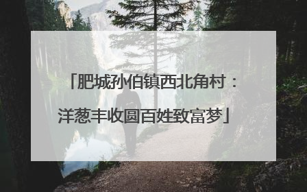 肥城孙伯镇西北角村：洋葱丰收圆百姓致富梦